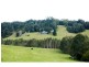 Dorrigo NSW 2453