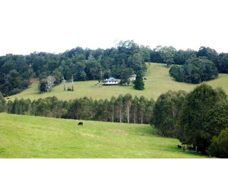 Dorrigo NSW 2453