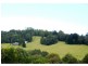 Dorrigo NSW 2453
