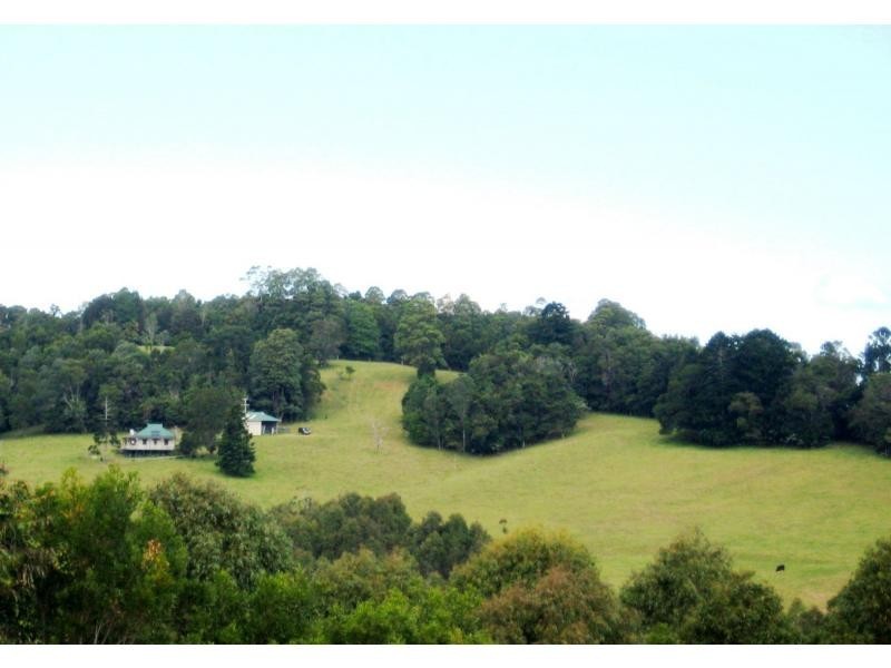 Dorrigo NSW 2453