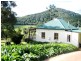 Dorrigo NSW 2453