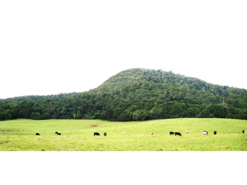 Dorrigo NSW 2453