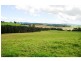 Dorrigo NSW 2453