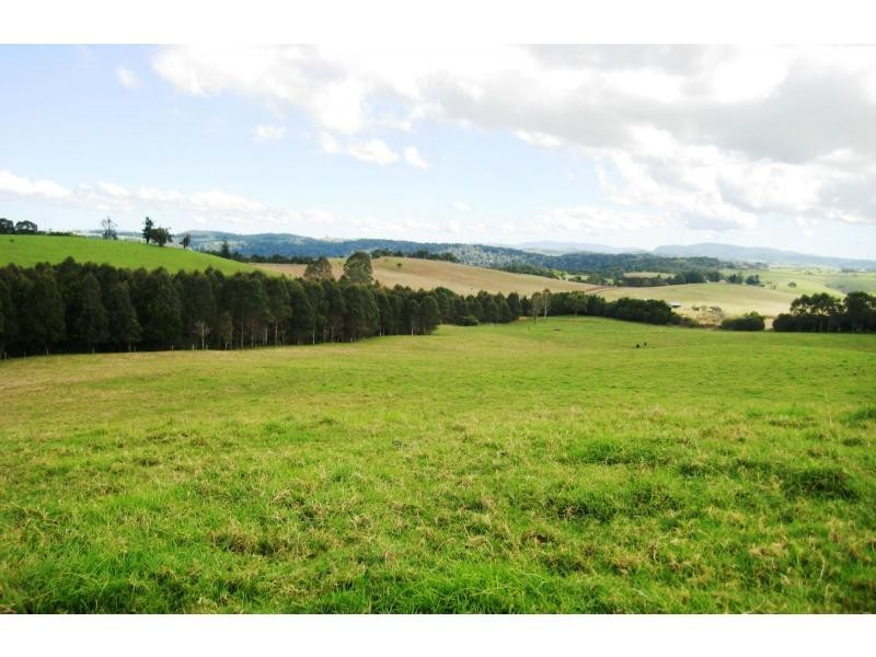 Dorrigo NSW 2453
