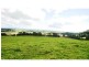 Dorrigo NSW 2453