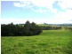 Dorrigo NSW 2453