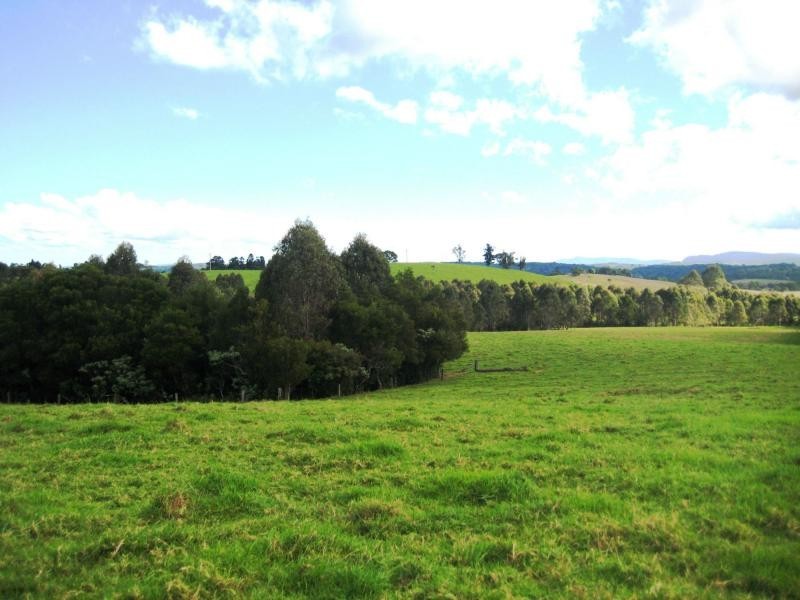 Dorrigo NSW 2453