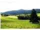 Dorrigo NSW 2453