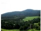 Dorrigo NSW 2453
