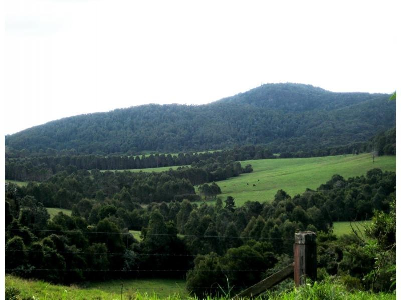 Dorrigo NSW 2453