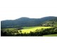Dorrigo NSW 2453