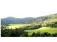 Dorrigo NSW 2453