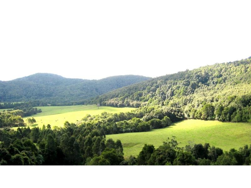 Dorrigo NSW 2453