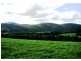 Dorrigo NSW 2453