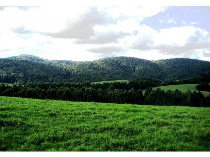 Dorrigo NSW 2453
