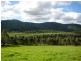 Dorrigo NSW 2453