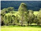 Dorrigo NSW 2453
