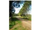 Dorrigo NSW 2453