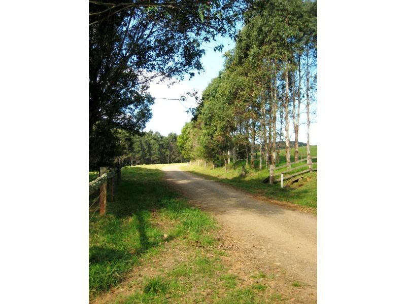 Dorrigo NSW 2453