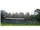 Dorrigo NSW 2453