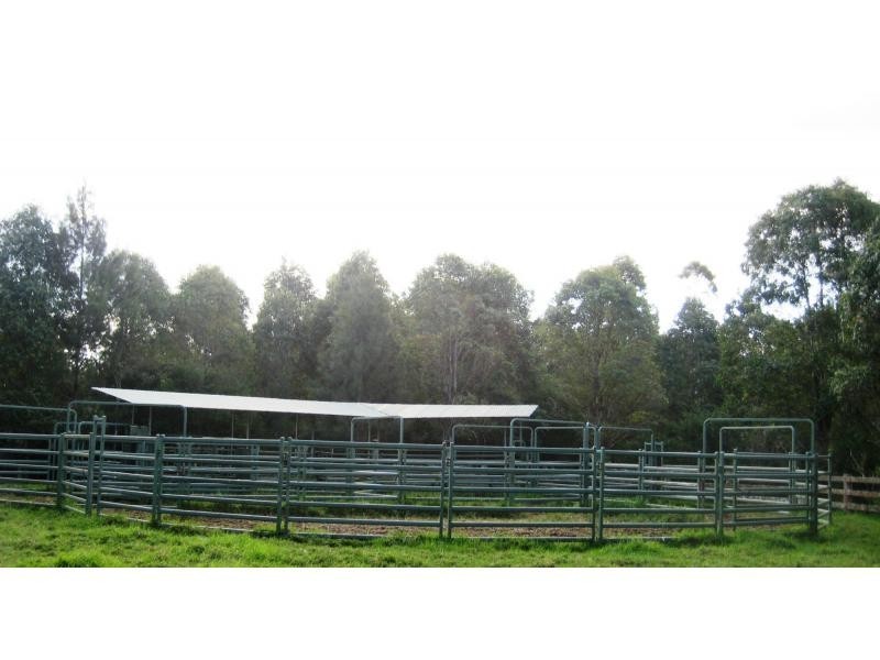 Dorrigo NSW 2453