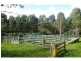 Dorrigo NSW 2453