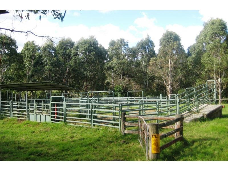 Dorrigo NSW 2453