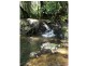 Dorrigo NSW 2453