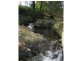 Dorrigo NSW 2453