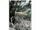 Dorrigo NSW 2453