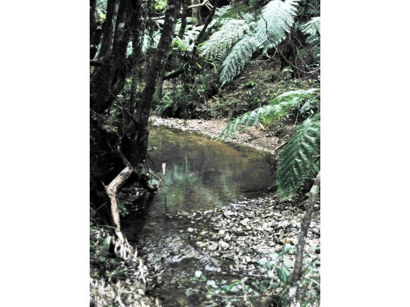 Dorrigo NSW 2453