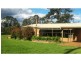5031 Waterfall Way, Dorrigo NSW 2453