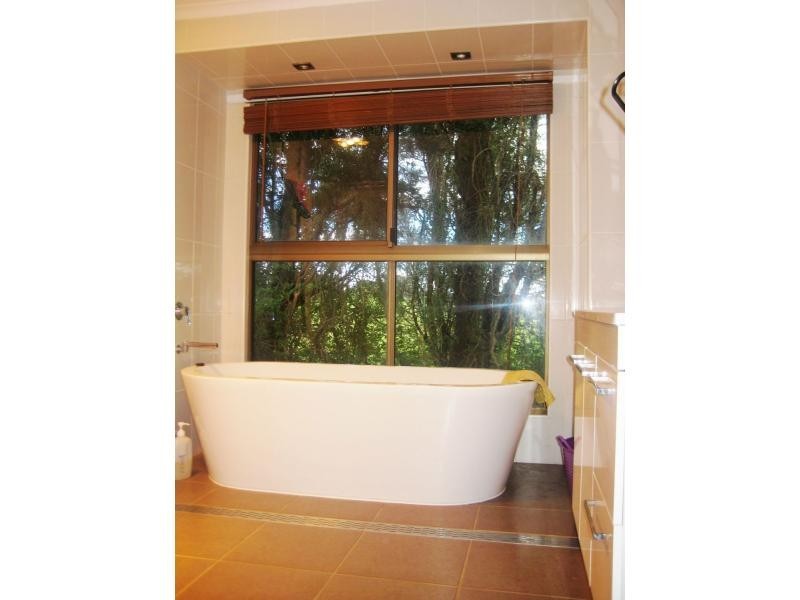 5031 Waterfall Way, Dorrigo NSW 2453