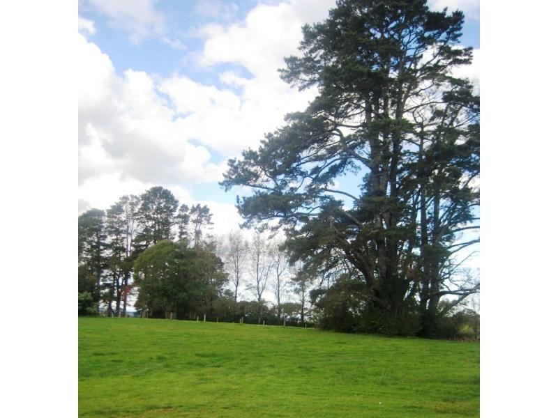 5031 Waterfall Way, Dorrigo NSW 2453