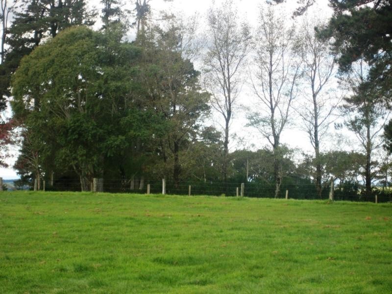 5031 Waterfall Way, Dorrigo NSW 2453