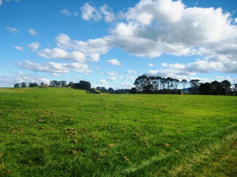 5031 Waterfall Way, Dorrigo NSW 2453