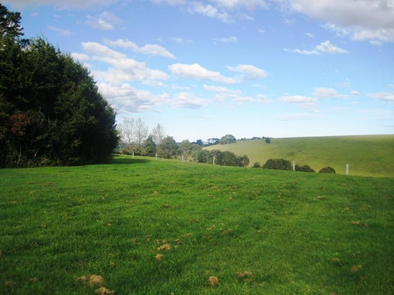 5031 Waterfall Way, Dorrigo NSW 2453