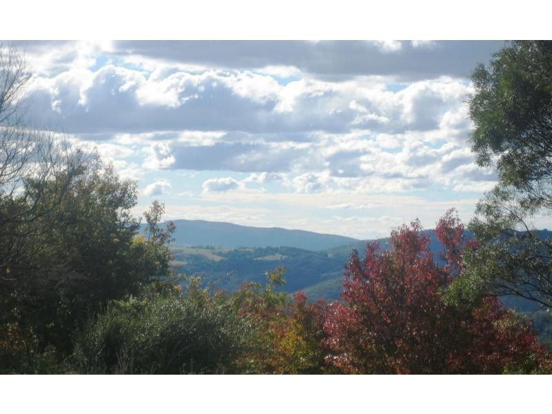 5031 Waterfall Way, Dorrigo NSW 2453