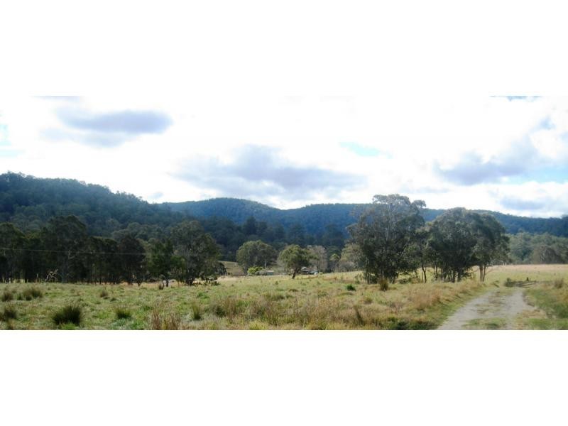 Dorrigo NSW 2453