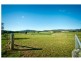 303 Slingsby’s Road, Dorrigo, Dorrigo NSW 2453