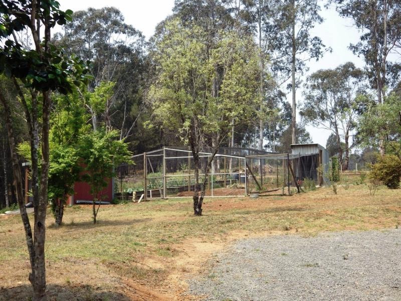 75 Mount Street, Dundurrabin, Dorrigo NSW 2453