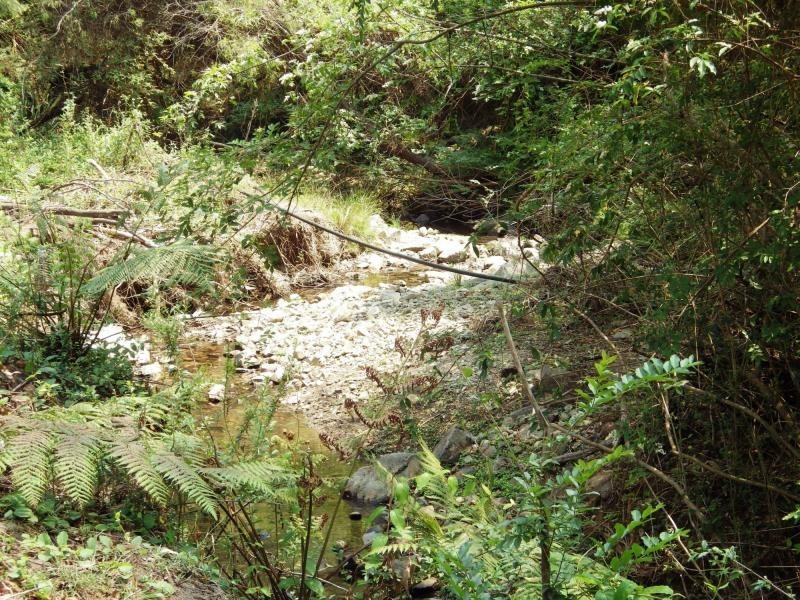 75 Mount Street, Dundurrabin, Dorrigo NSW 2453