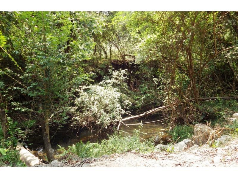 75 Mount Street, Dundurrabin, Dorrigo NSW 2453