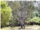 75 Mount Street, Dundurrabin, Dorrigo NSW 2453