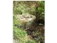 75 Mount Street, Dundurrabin, Dorrigo NSW 2453
