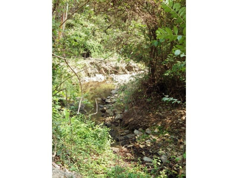 75 Mount Street, Dundurrabin, Dorrigo NSW 2453