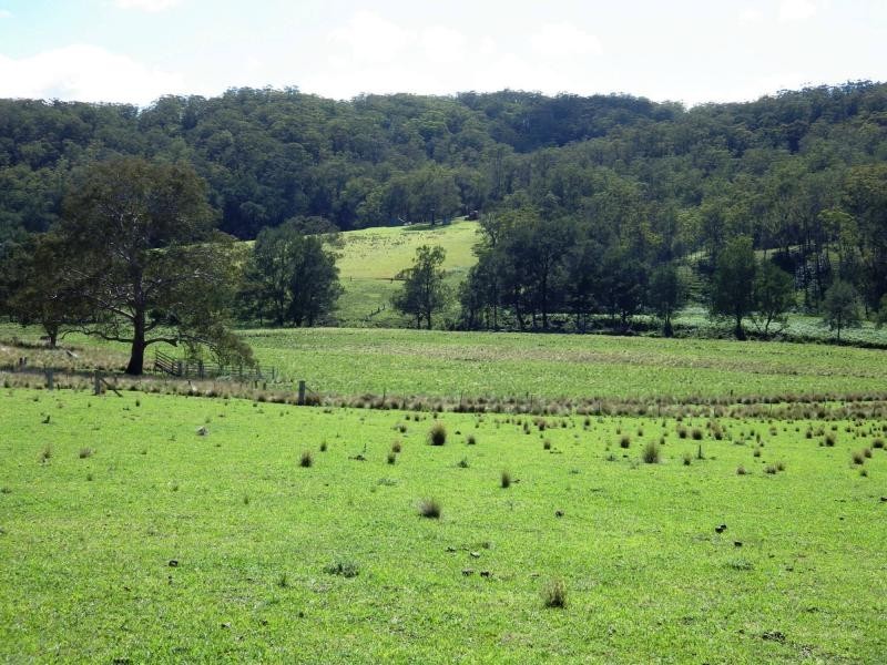 741 Harness Cask Road, Dorrigo, Dorrigo NSW 2453