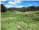 741 Harness Cask Road, Dorrigo, Dorrigo NSW 2453