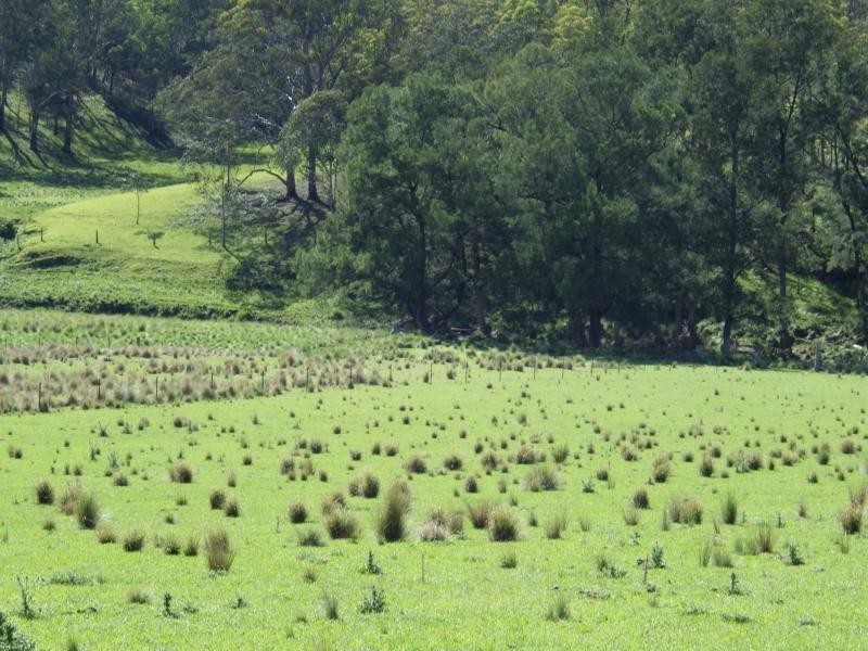 741 Harness Cask Road, Dorrigo, Dorrigo NSW 2453