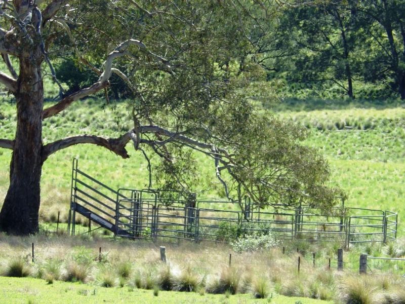 741 Harness Cask Road, Dorrigo, Dorrigo NSW 2453